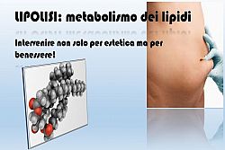 Catabolismo Lipidico