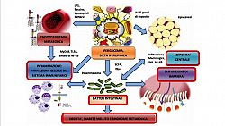 Lo strano dialogo tra intestino e cervello