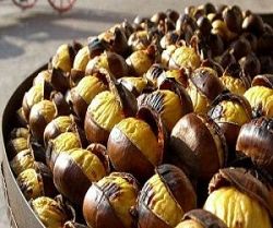 Castagne bio, caldarroste e maroni, le regine dell'autunno